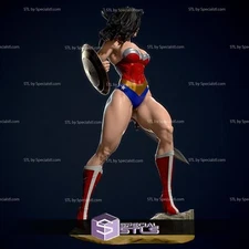 3D Print - Wonder Woman with NSFW - Grey Or Painted - Custom Resin Statue - NSFW