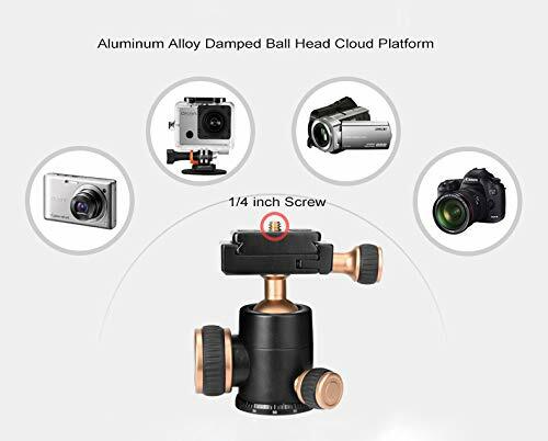 Handheld Desktop Tripod + Ball Head + Quick Release Plate for Camera Phone - Picture 4 of 7