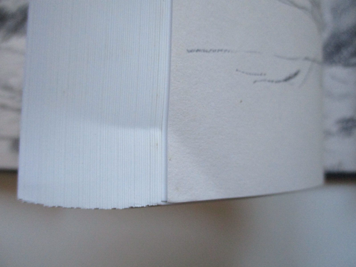 SIGNED Rachel Lockwood NORTH NORFOLK A PAINTED LANDSCAPE An Artists Diary ART - Picture 8 of 20