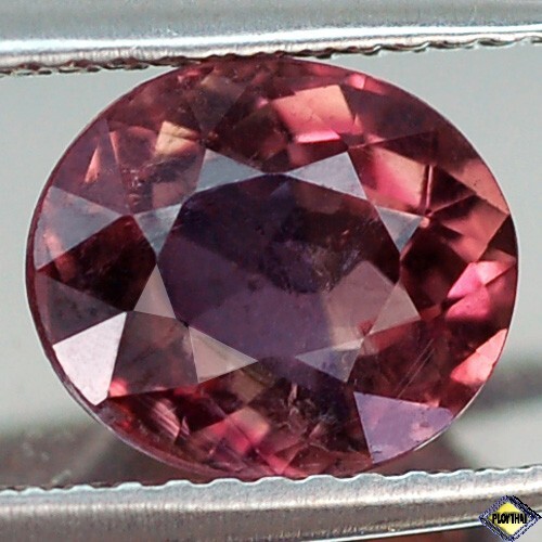 2.26CT RAVISHING AA OVAL UNHEATED BI COLOR TOURMALINE NATURAL - Picture 2 of 2