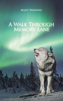 A Walk Through Memory Lane - NEU Mary Wronko 2014