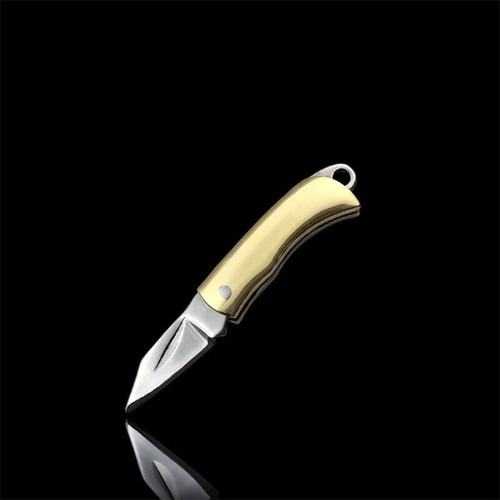 Brass Stainless Steel Folding Mini Pocket Knife Key Ring Pendant Camping Hiking