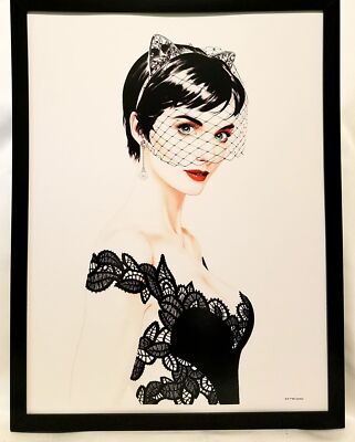 Catwoman Selina Kyle by Joshua Middleton FRAMED 12x16 Art Print Poster DC Comics