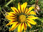 Bild 5 von 8