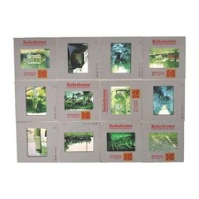 Vtg '75 Lot of 38 Color Transparency Film Camera Photo Slides MN Family Trip