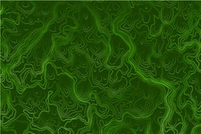 Topographic Map Graphic Decal Vinyl Bike Scooter Motorcycle Car Wrap Green Cart