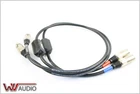 WITH AVT Proline XLR-XLR 100CM Balanced One Foot