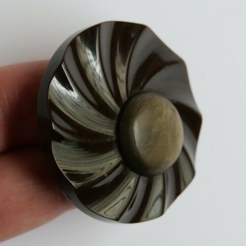 Button Antique - Galalith - 43 MM - Early 20th Century - Celluloid Button - Picture 3 of 5