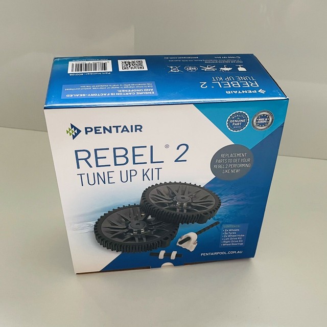 Pentair Rebel 2 Tune up Kit Pool Cleaner Spare Parts Part No 800139