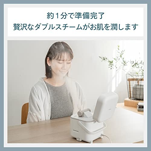 Twinbird Tsubame-Sanjo Face Steamer Ionizing Steam compact matte white ESH-2787W - Picture 4 of 7