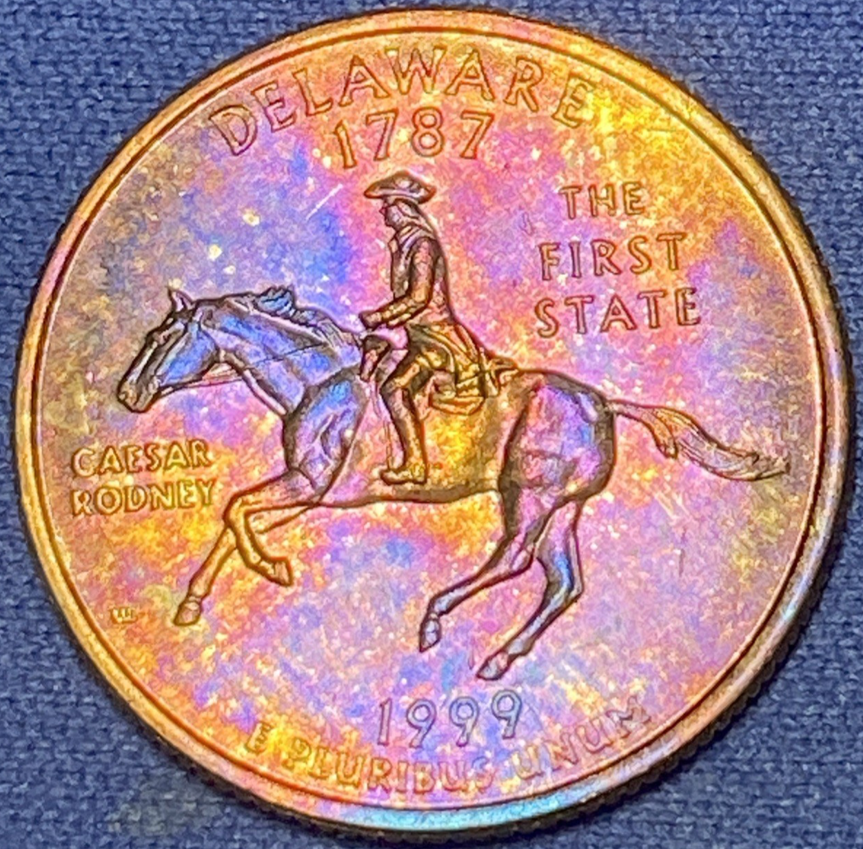 Picture 5 of 12