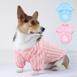 jack russell sweater