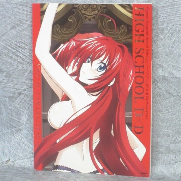 HIGHSCHOOL D X D Visual Collection Art Set Book w/Bath Poster