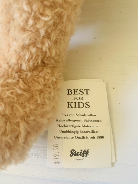 Steiff Fynn Bear in Suitcase 111471 With Tags 2017 for sale online