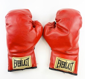everlast usa