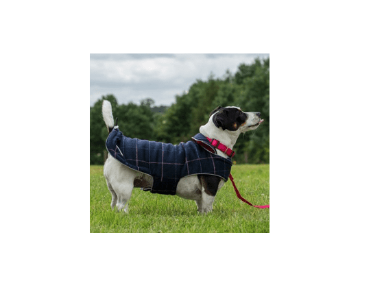 New Doodlebone Dog Warm Tweedy/Padded Reversible Waterpeoof Dog