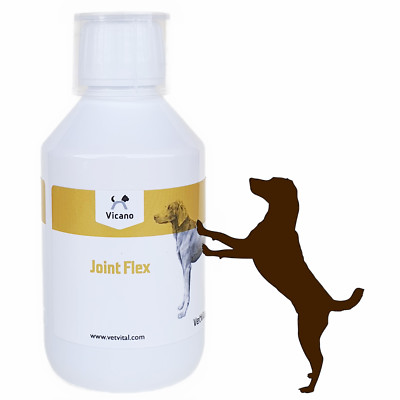 Vicano Joint Flex - 250 ml von VetVital für Ihren Hund