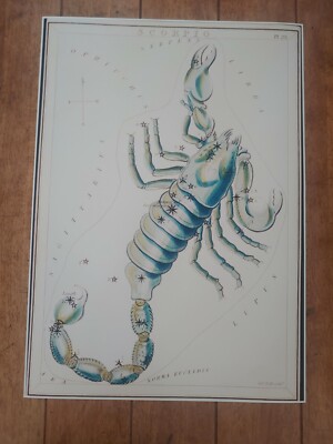 Scorpio Sidney Hall 1831 Astrological Poster Reprint
