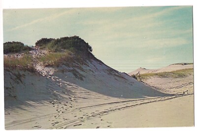 Footprints Tracks in SAND DUNES On Outer Cape Cod MA Postcard Massachusetts