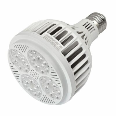 E27 PAR30 25W=200W LED StrahlerLampe Spotlight Glühbirne Leuchtmittel 3100lm