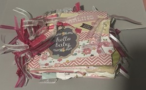 Hello Baby Girl Paper bag Album