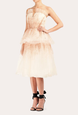 slim fit dress slacks Illusion Murals Sleeveless Embroidered Tulle Midi Dress