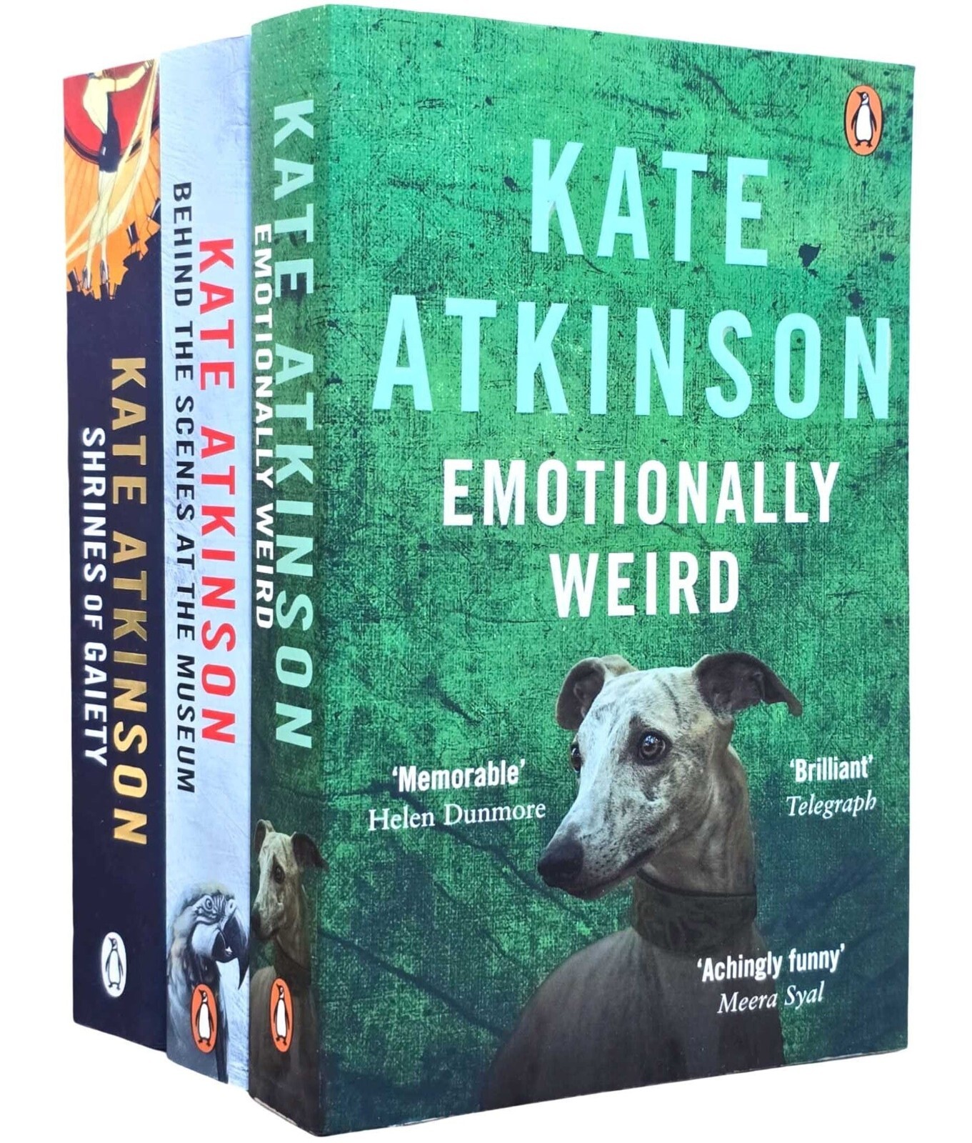 Kate Atkinson Collection 3 Books Set Emotionally Weird, Shrines of Gaiety - Image 5