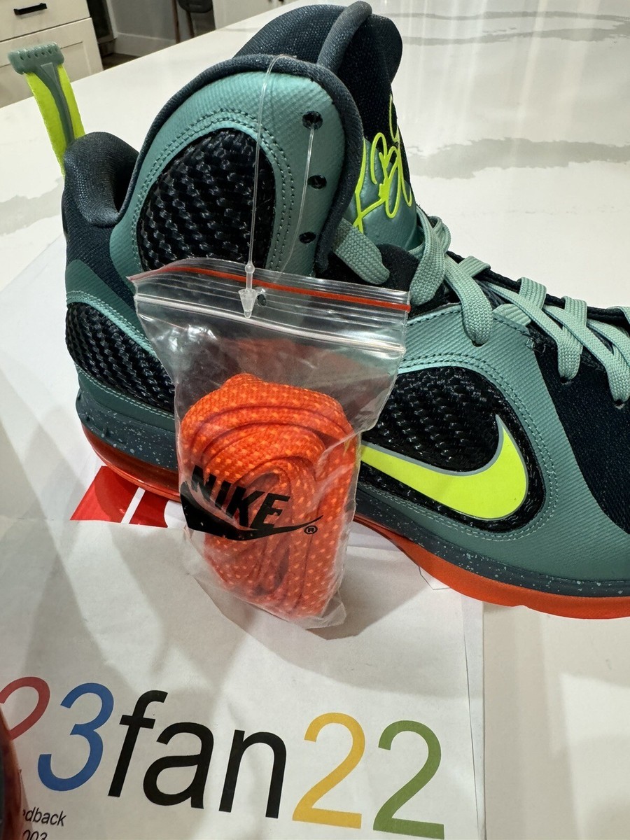 値下【NIKE】レブロン9　通称CANNON Size 10 - Nike LeBron 9 Cannon Black Blue Orange Suede