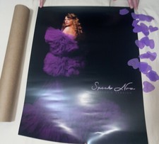 Official Taylor Swift Speak Now Fans First Poster Lithograph 18x24"