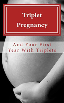 Triplet Pregnancy & Your First Year with Triplets - Paperback NEW Gore, N. T. 01
