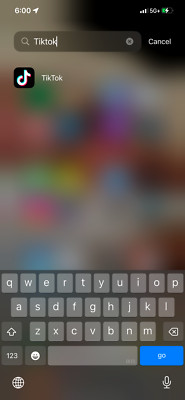 iPhone 12 Pro Max with TIKTOK