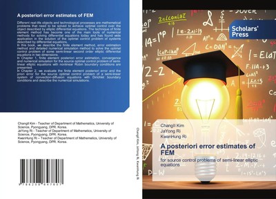ChangIl Kim (u. a.) | A posteriori error estimates of FEM | Taschenbuch (2025)