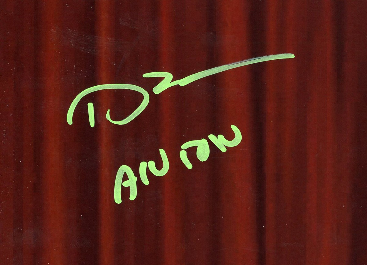 Devon Sawa Signed Idle Hands Unframed 8x10 Photo - Holding Hands