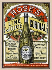 Decoration Poster.Wall art.Home interior design print.Lime Juice.Bar Decor.9314