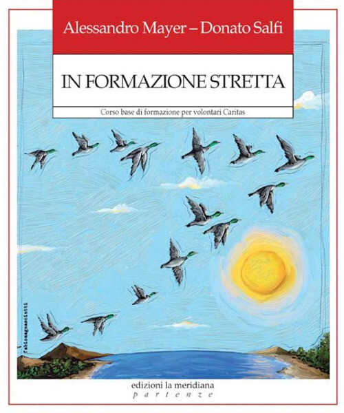 Libri Alessandro Mayer / Donato Salfi - In Formazione Stretta. Corso Base Di For