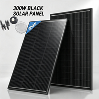 300W Monokristallin Solarmodul Photovoltaik PV 12V Mono Solarpanel 300 Watt DE
