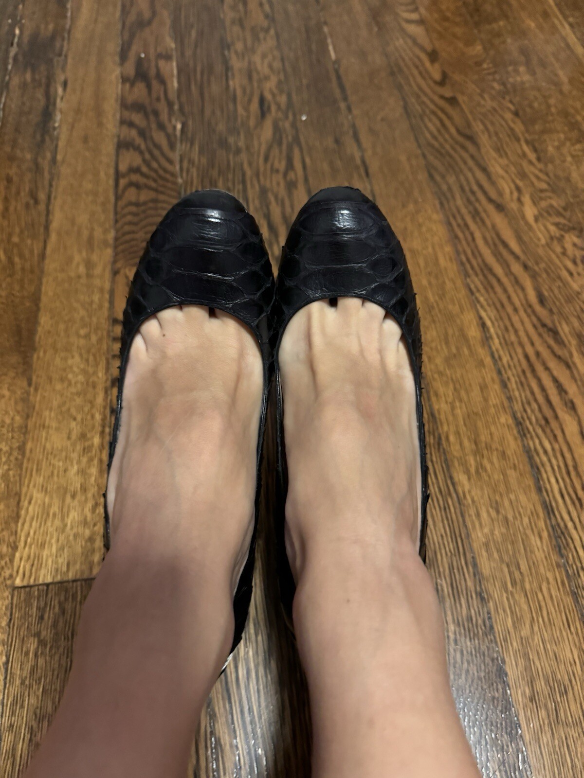 Christian Louboutin Black Bianca Python Pumps 39.… - image 8