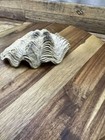 Bild 8 von 8
