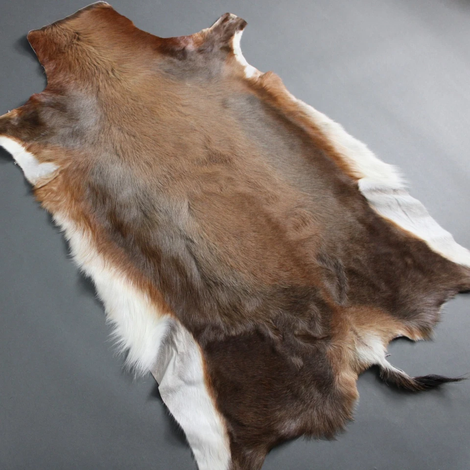 NEW Large Genuine Natural BLESBOK Brown Exotic Hide Rug - Image 4 of 4