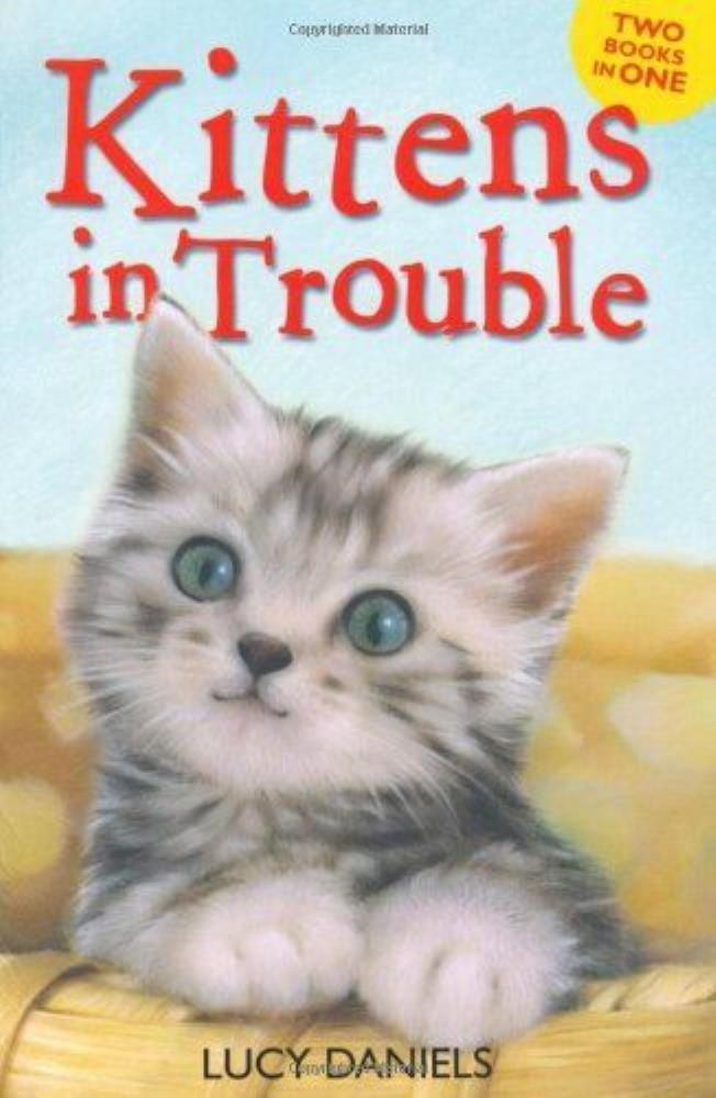 Animal Ark - Kittens in Trouble Lucy Daniels Paperback FREE SHIPPING