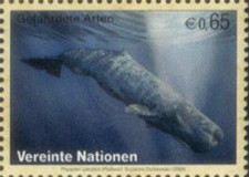 UN Vienna #Mi529 MNH 2008 Sperm Whale Physeter catodon macrocephalus [420]