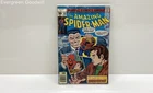 The Amazing Spider-Man #169 Comic Book (June 1977)