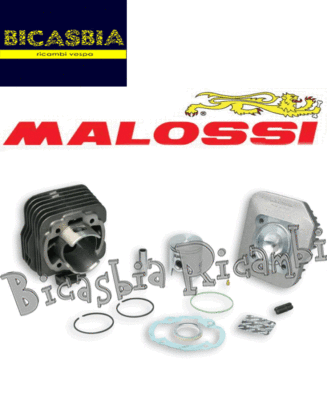 Cylinder Malossi Dm 47 Cast Iron Honda 50 Dio G Sp Sr Zx Hsc Sc Ebay
