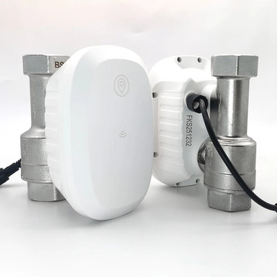 Tuya Water Valve Wifi Smart Control Water Flow Consumption Meter Automatic Irrig
