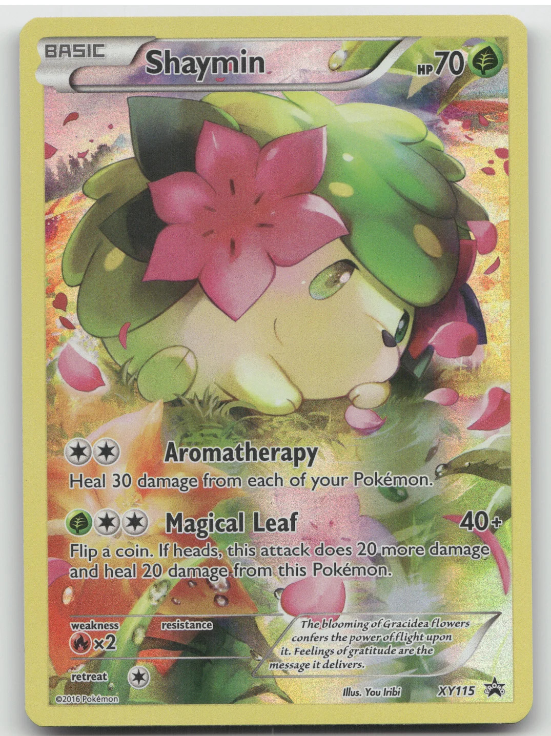 2016 Pokemon XY Shaymin Black Star Promo #XY115