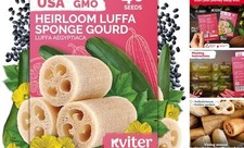 40 Luffa Seeds Luffa Aegyptiaca   Loofa, Loofah Sponge Gourd Luffa Sponge