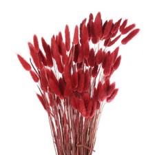 120pcs Natural Bunny Tails Dried Flowers 24" Mini Pampas Grass, Red