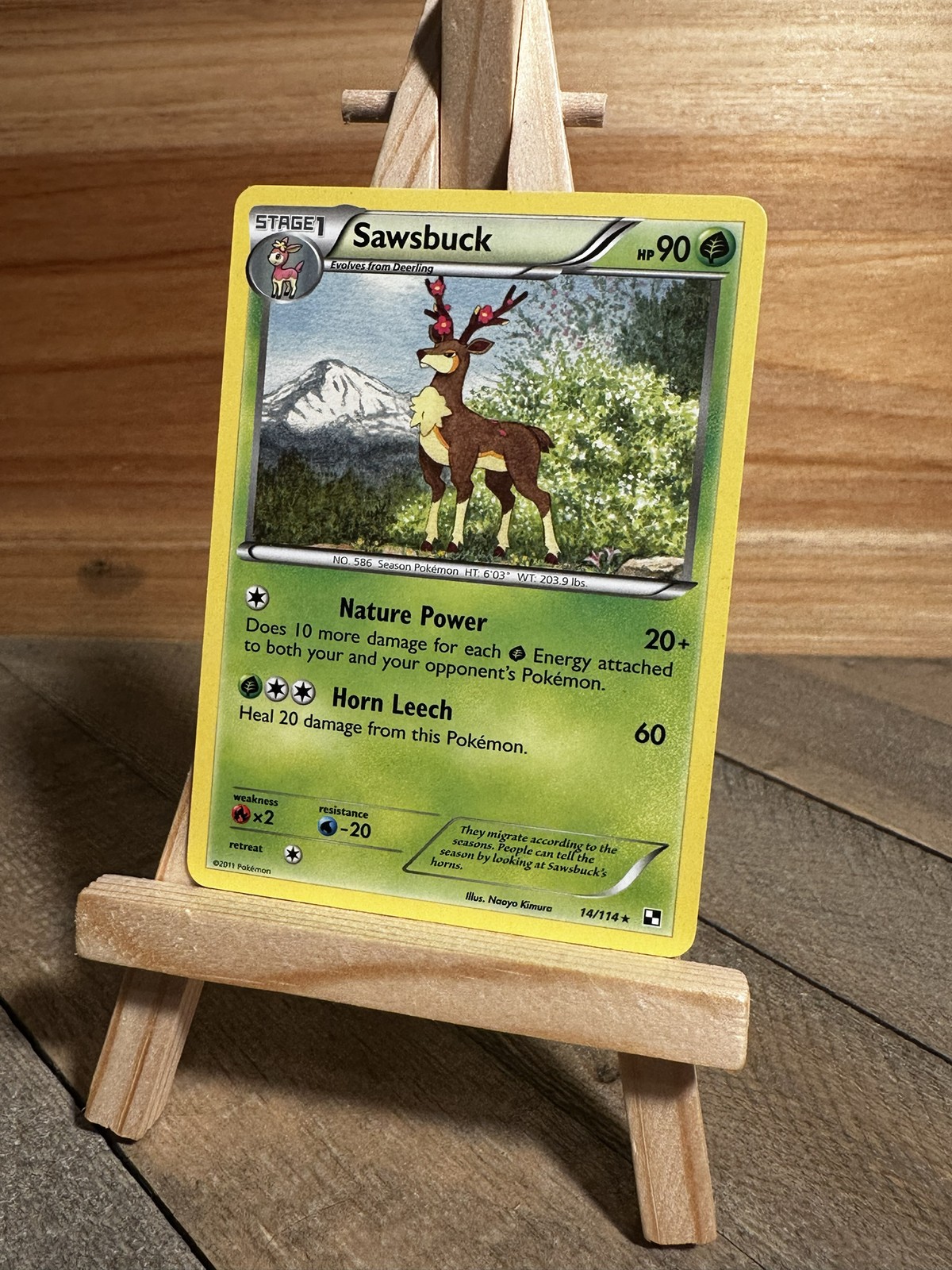 Pokemon Black and White Rare Sawsbuck #14/114 Lightly played