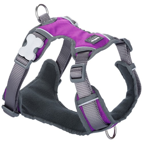 Red Dingo Padded Dog Harness Plain, Medium 20mm - Picture 8 of 11