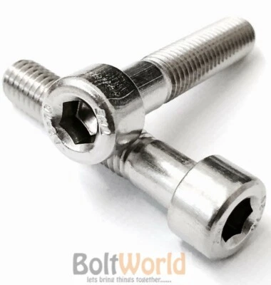 BOLT WORLD M10 / 10mm SOCKET ALLEN CAP HEAD HEX HEXAGON SCREWS BOLTS STAINLESS STEEL A2